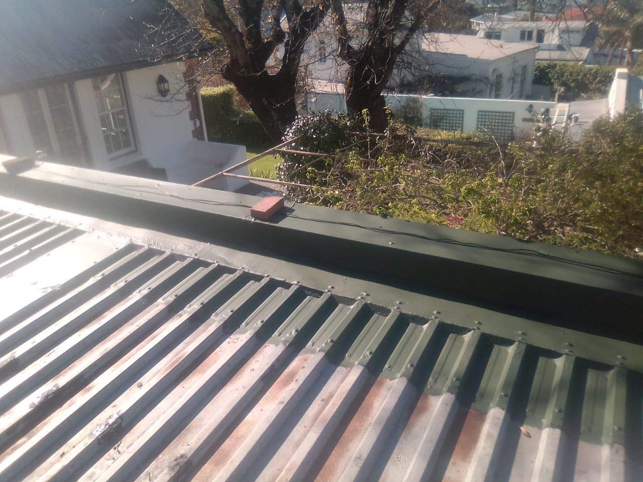 Corrugated roof panels with dark edge treatment and a garden beyond